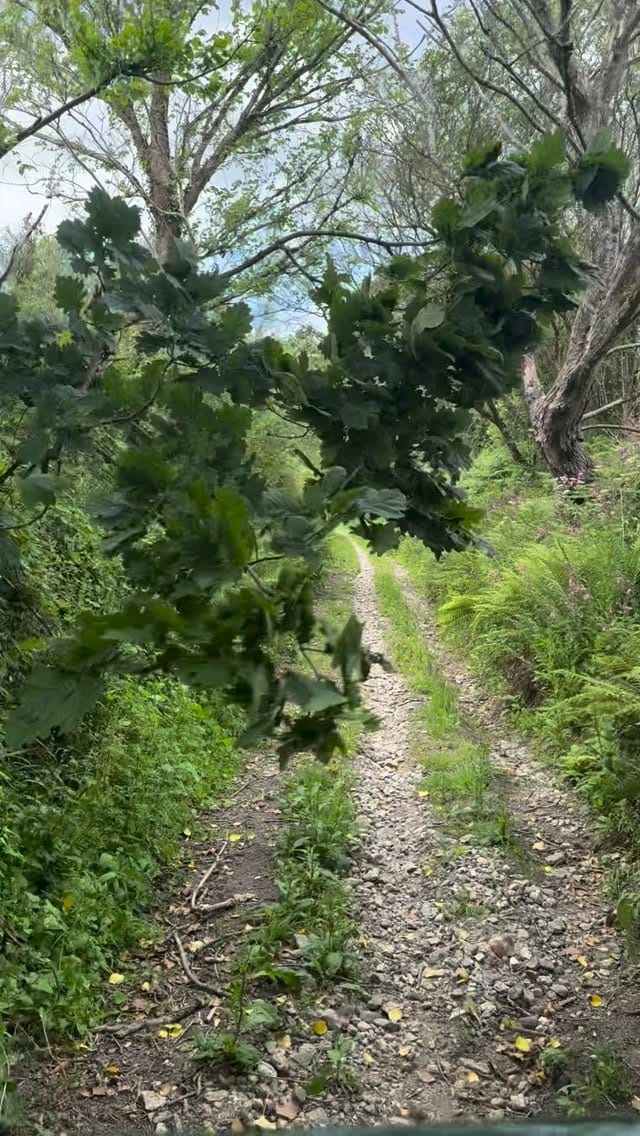 Post 1 by Cornish Stays on Instagram (video)