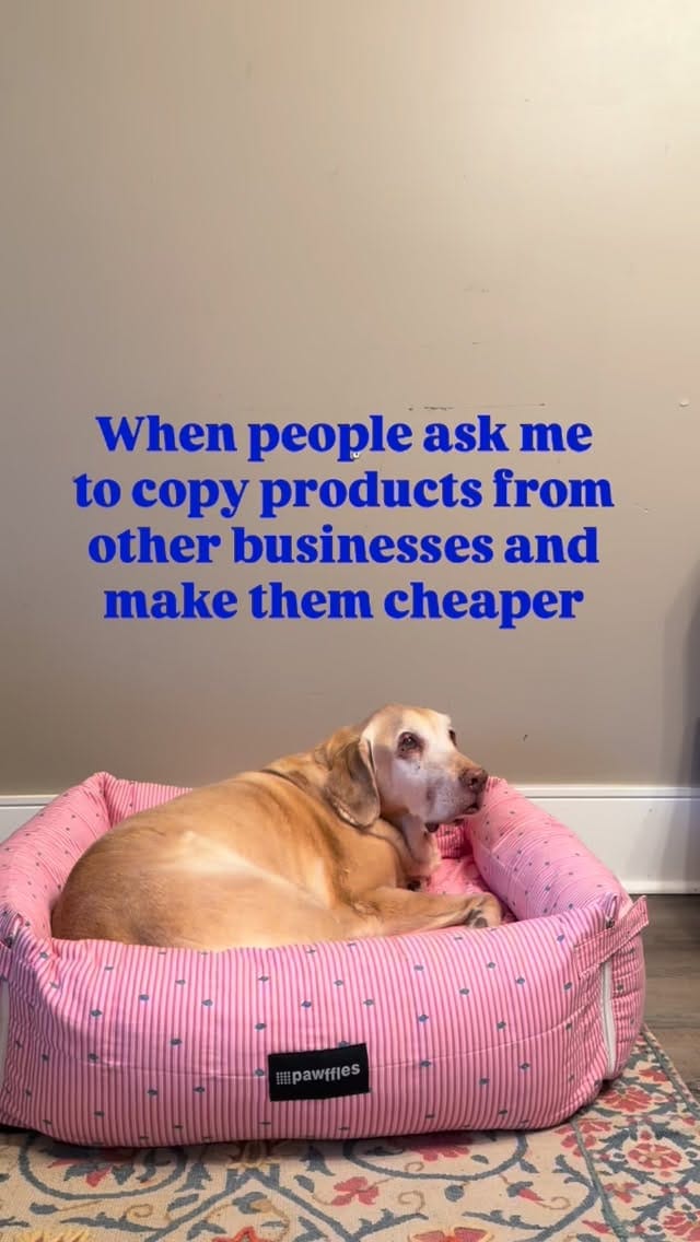 Post 8 by Pawffles | Pet Travel & Comfort on Instagram (video)