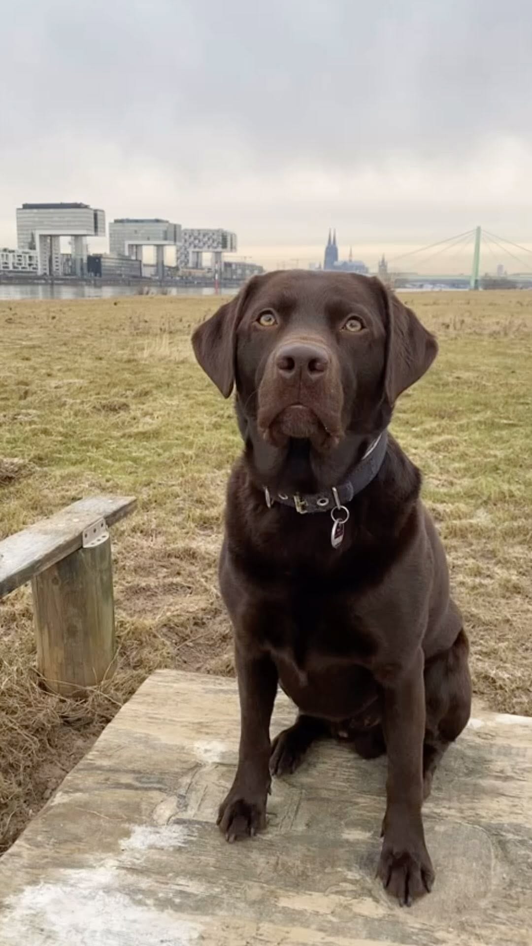 Post 7 by Claudia Hein on Instagram (video)
