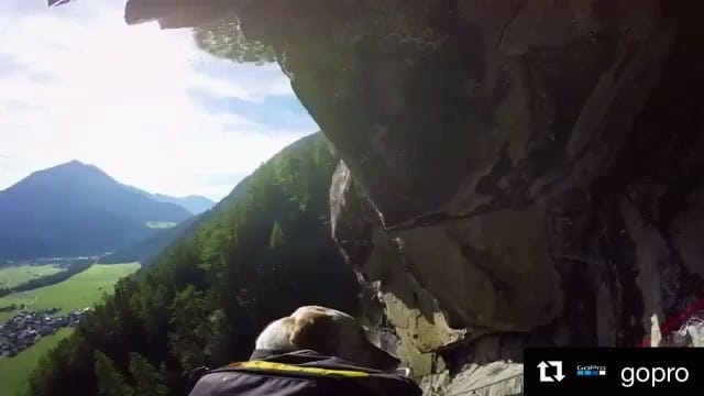 Post 9 by Niño the Setter/Podenco Mix on Instagram (video)