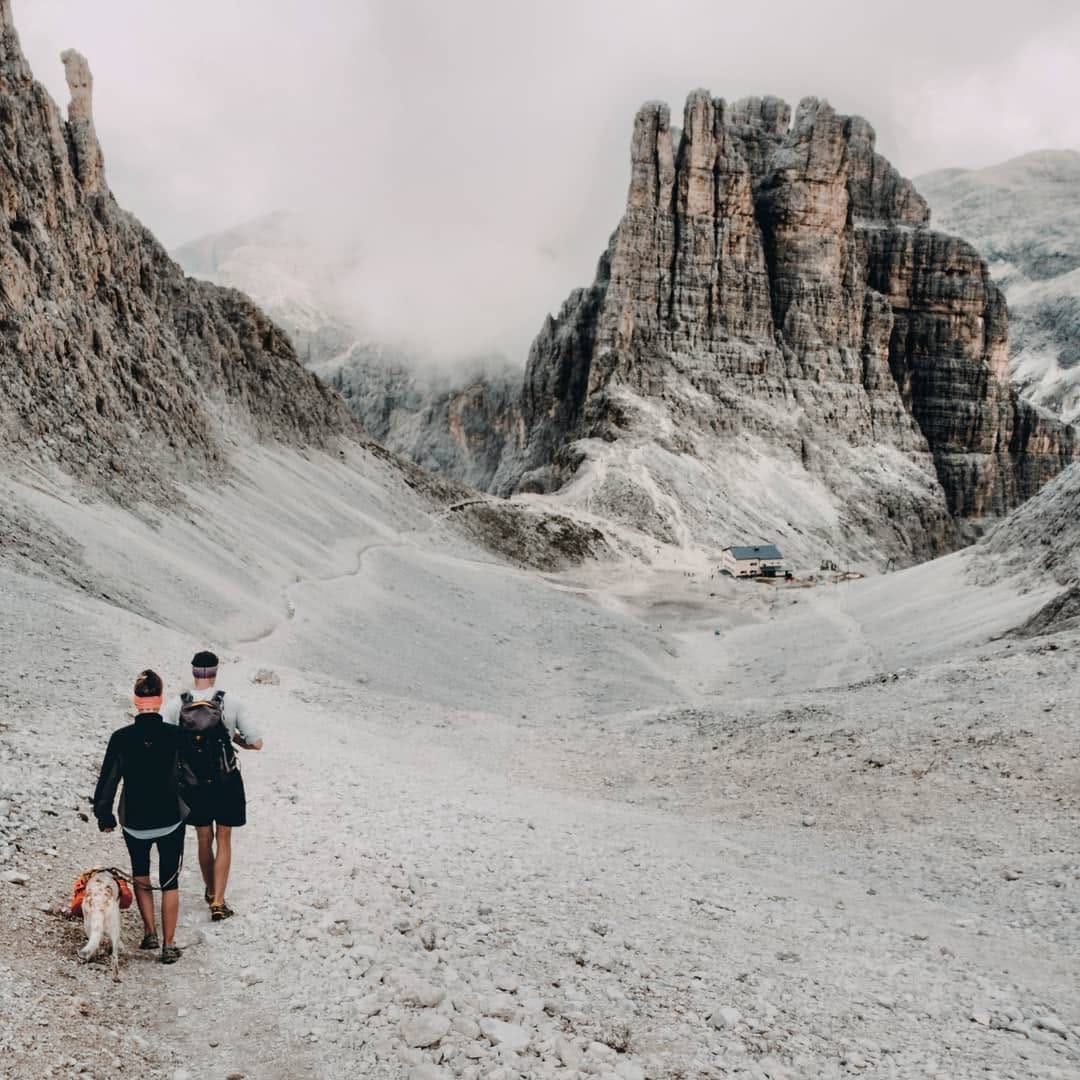 Post 7 by Niño the Setter/Podenco Mix on Instagram (image)