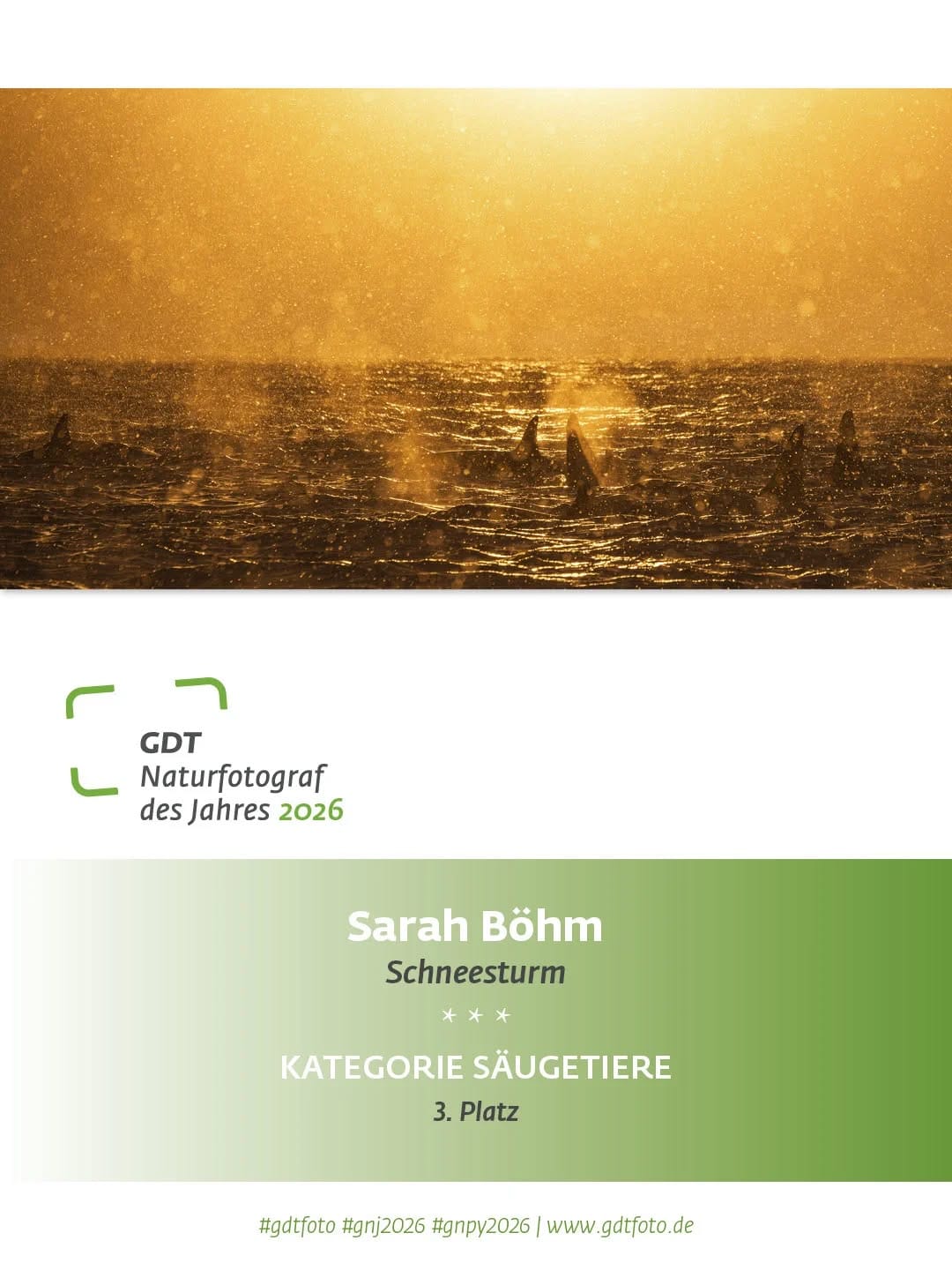 Post 3 by Sarah Böhm Photography on Instagram (image)
