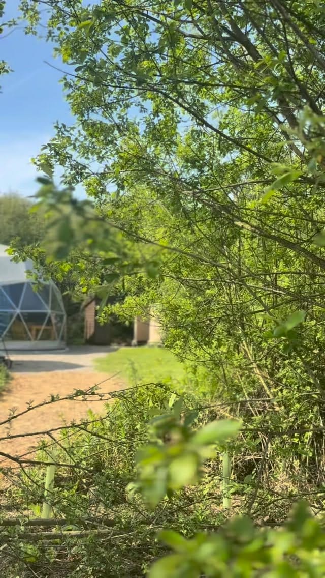 Post 10 by Florence Springs on Instagram (video)