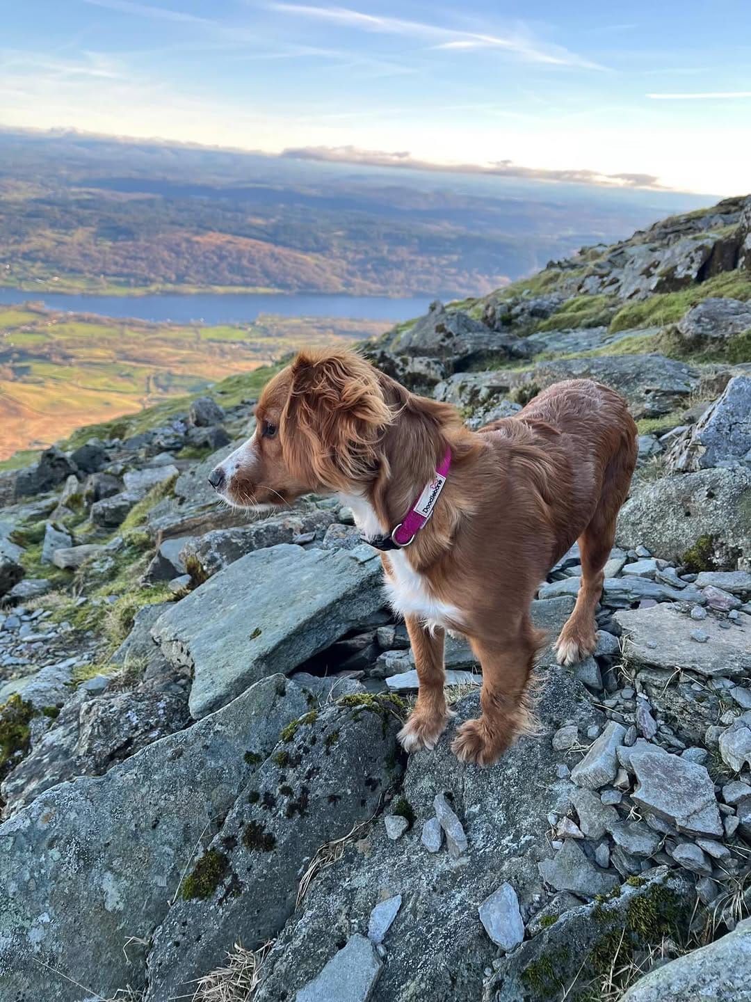 Post 5 by Lake District Lodges on Instagram (image)