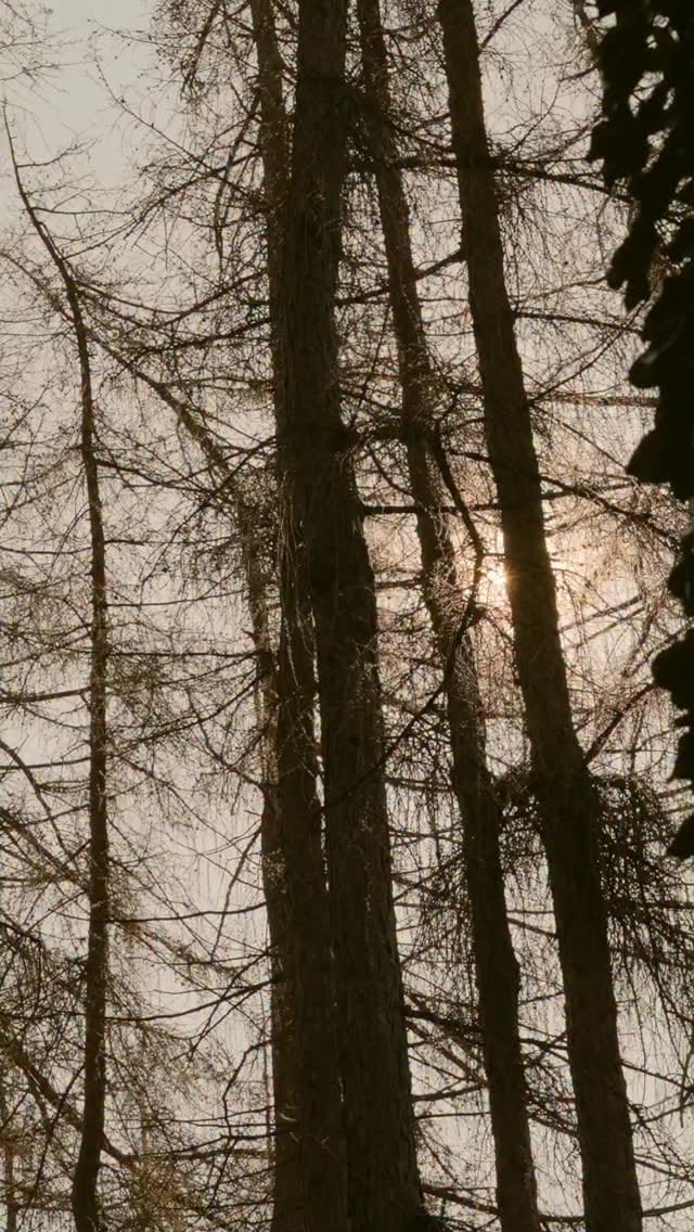 Post 6 by Rupert Oliver on Instagram (video)