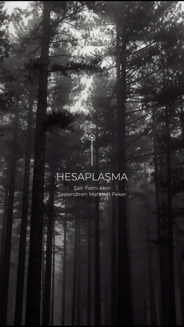 Post 2 by Designasylum on Instagram (video)