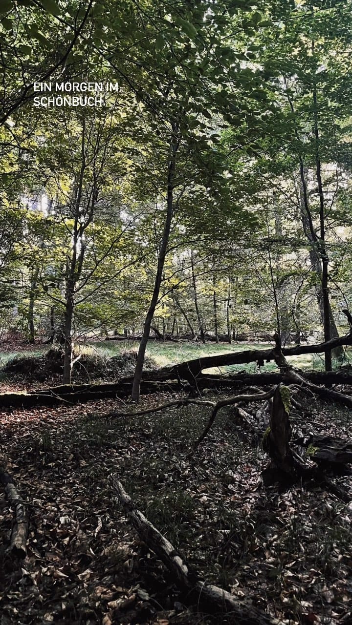 Post 10 by Christian Vögtlin on Instagram (video)