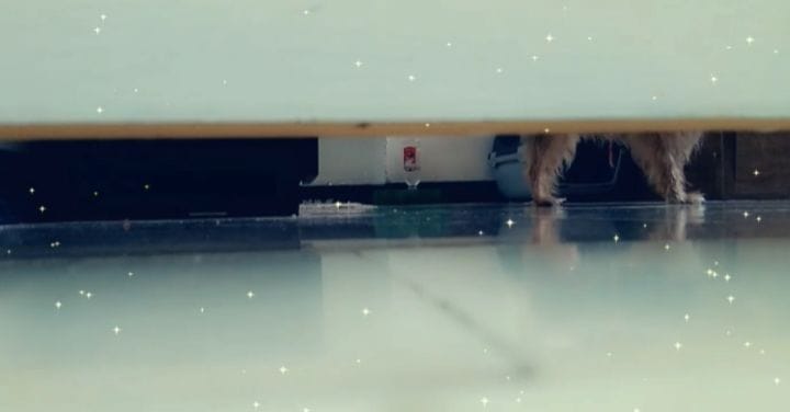 Post 5 by YOURKI on Instagram (video)