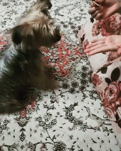 Post 9 by YOURKI on Instagram (video)