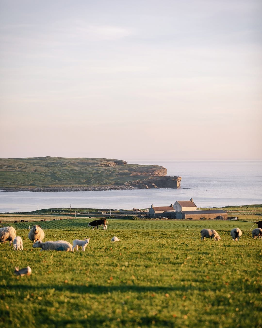 Post 4 by Orkney Islands on Instagram (image)