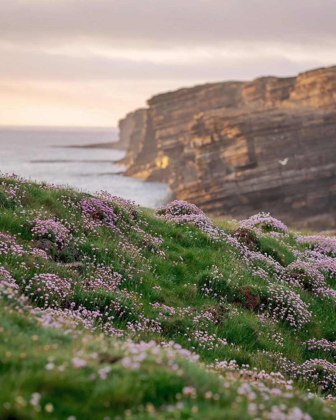 Post 3 by Orkney Islands on Instagram (image)