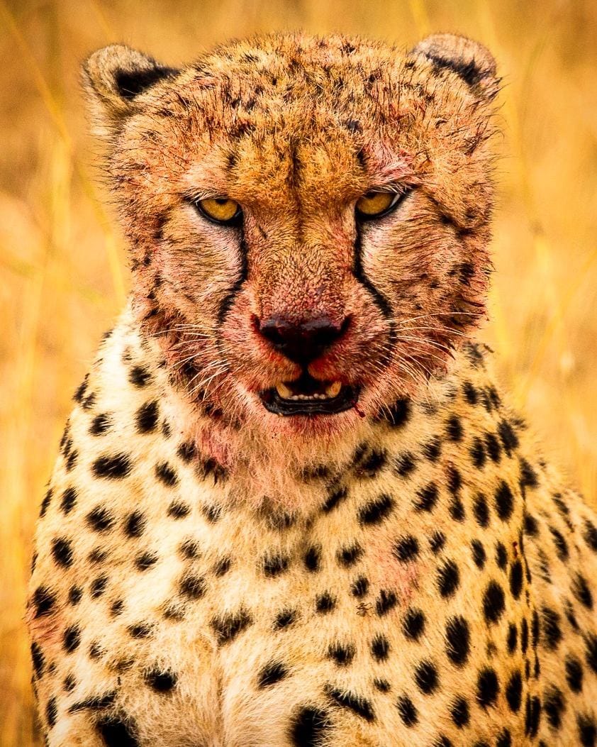 Post 9 by Dominik Wojcik on Instagram (image)