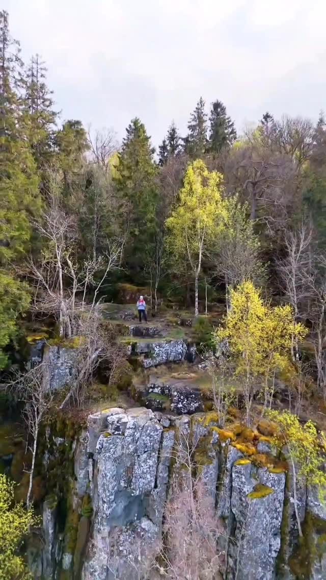 Post 9 by Steffi on Instagram (video)