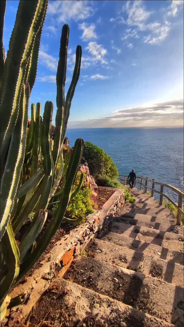 Post 3 by Steffi on Instagram (video)