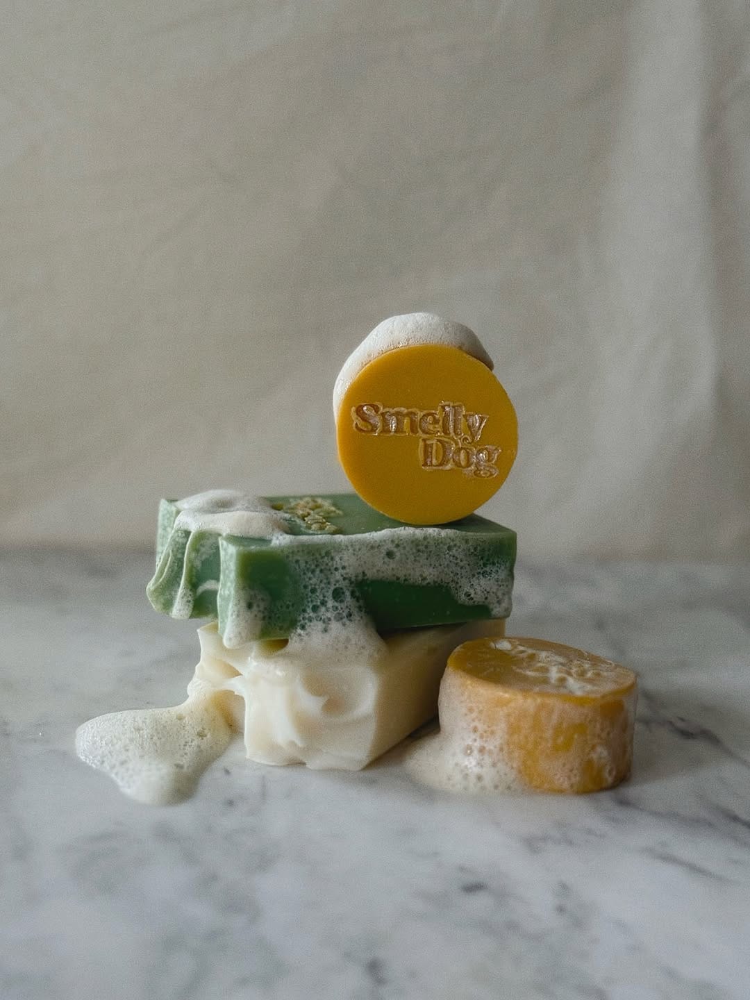 Post 5 by Sustainable & Eco-friendly Dog Brand on Instagram (carousel)