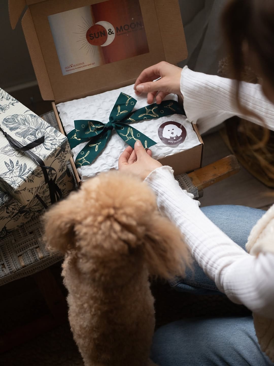 Post 6 by Sustainable & Eco-friendly Dog Brand on Instagram (carousel)