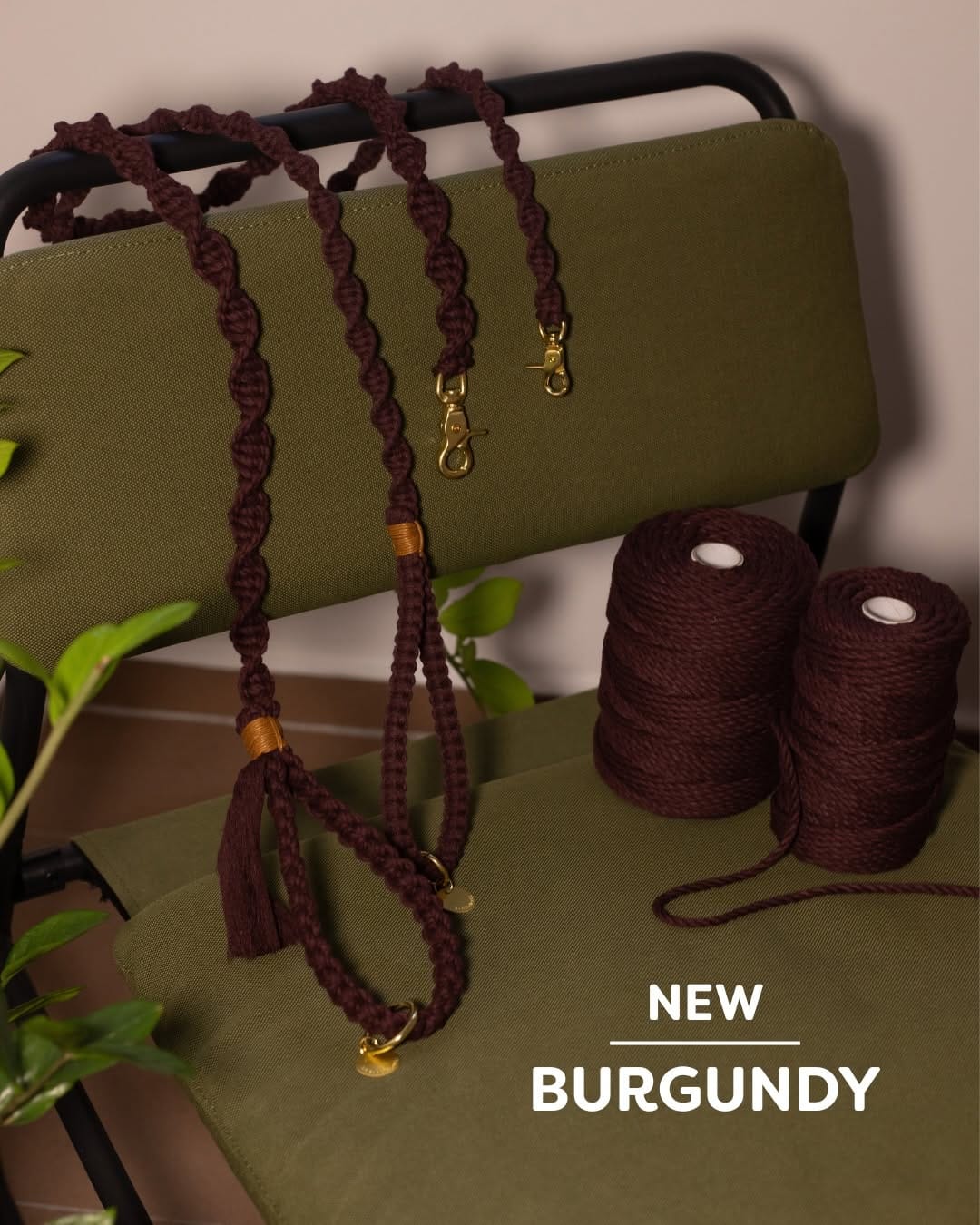 Post 8 by Sustainable & Eco-friendly Dog Brand on Instagram (carousel)