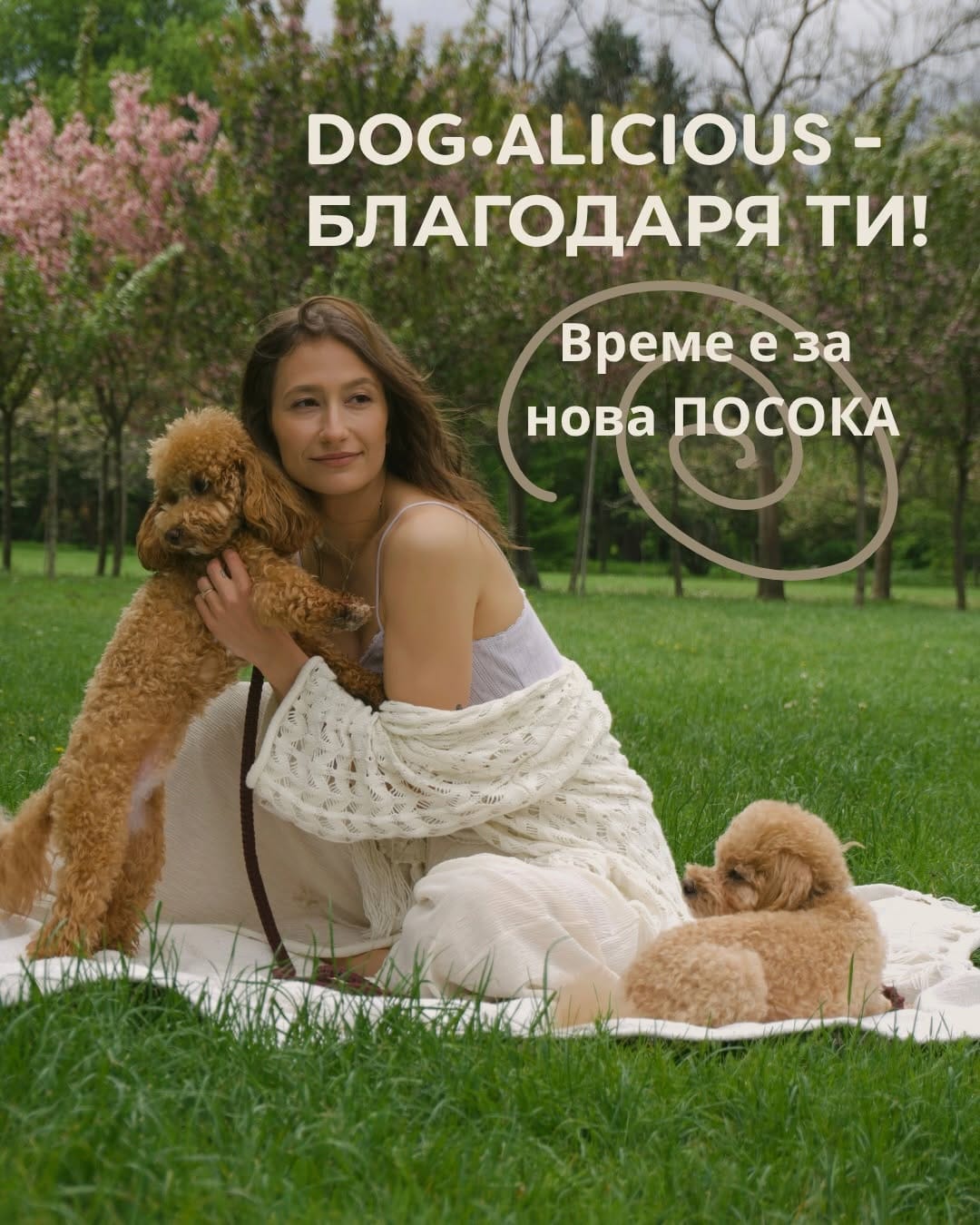 Post 1 by Sustainable & Eco-friendly Dog Brand on Instagram (carousel)