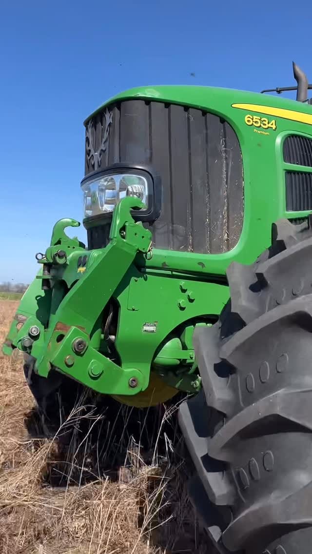 Post 6 by Michel on Instagram (video)