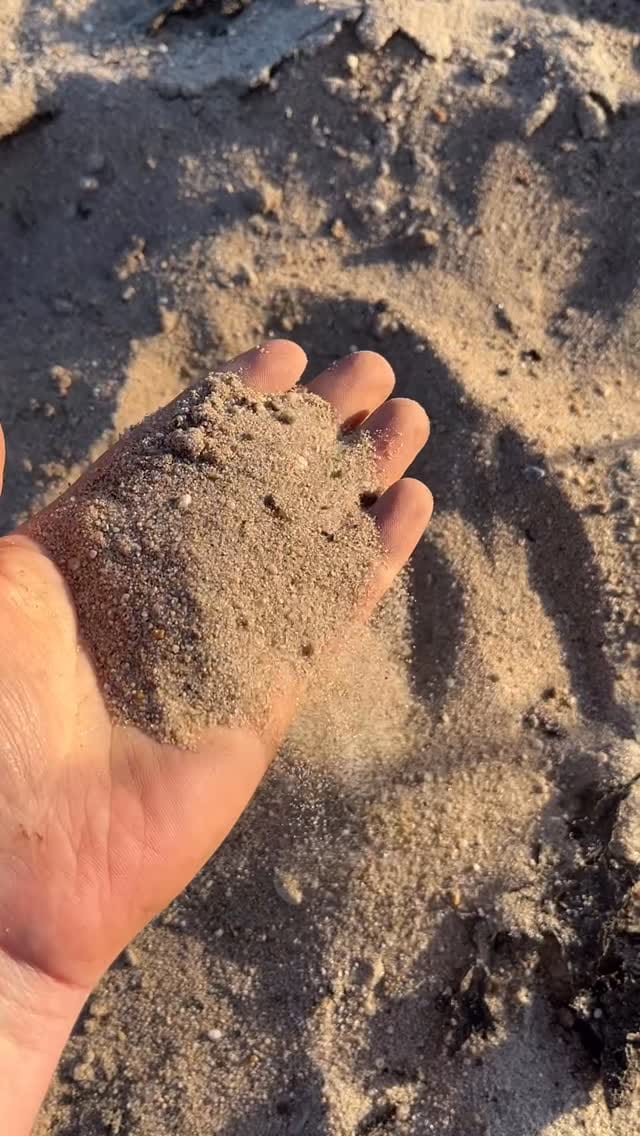 Post 5 by Michel on Instagram (video)