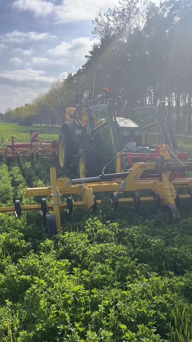Post 4 by Michel on Instagram (video)