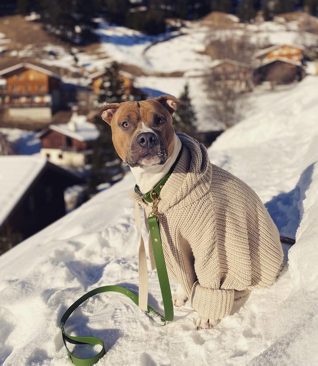 Post 6 by pepe on Instagram (carousel)