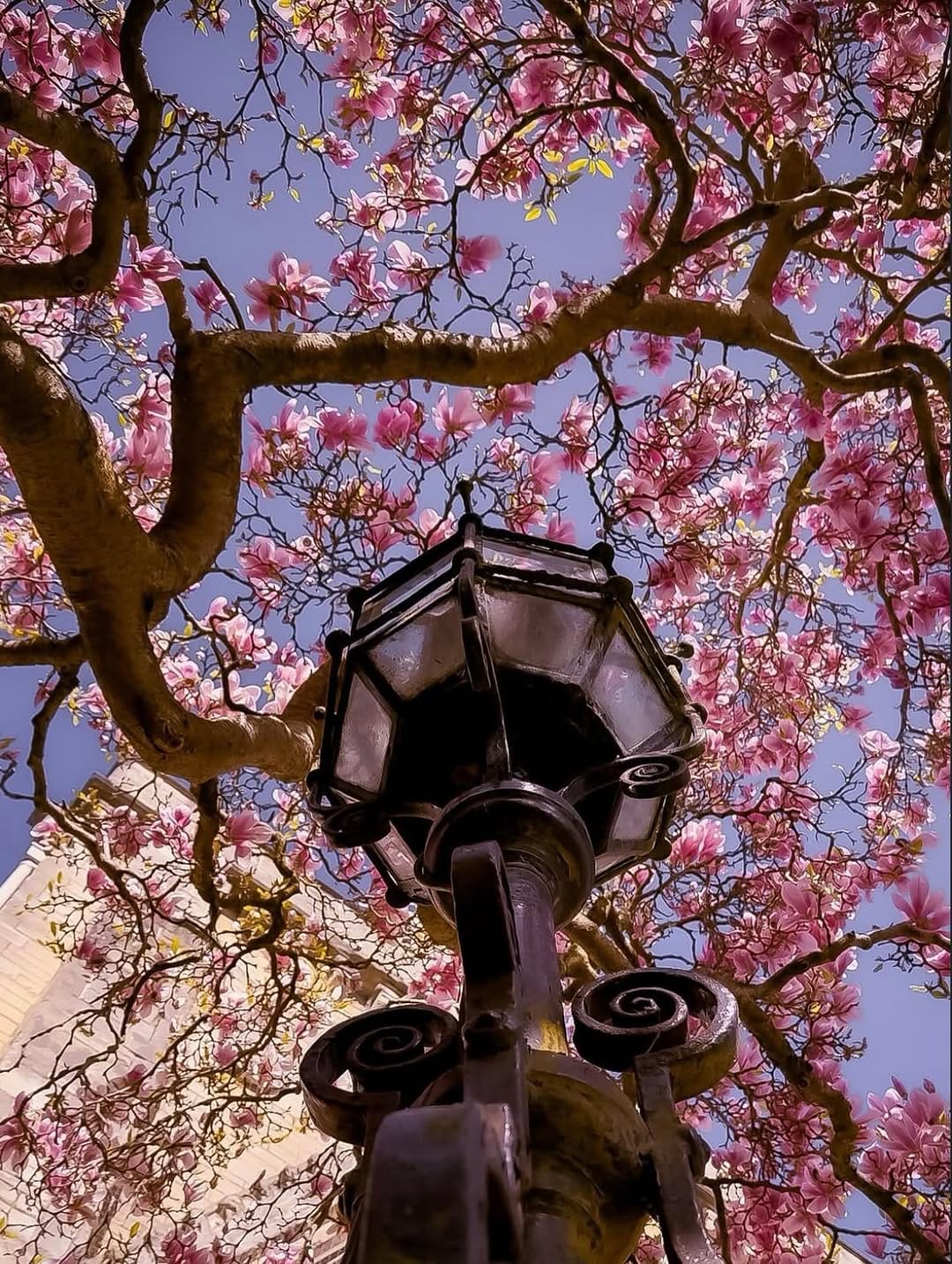 Post 3 by Igers Oxford on Instagram (image)