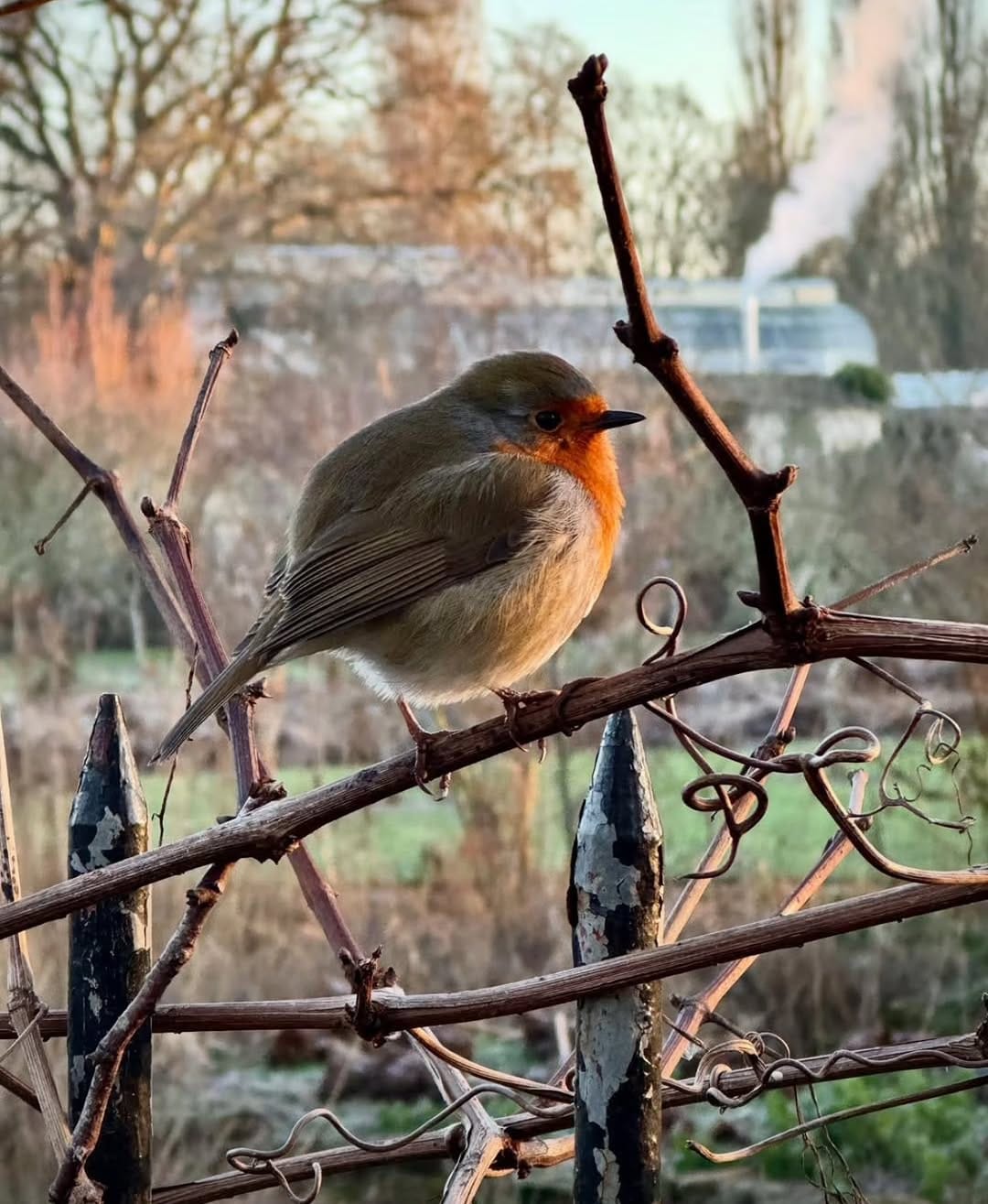 Post 5 by Igers Oxford on Instagram (image)