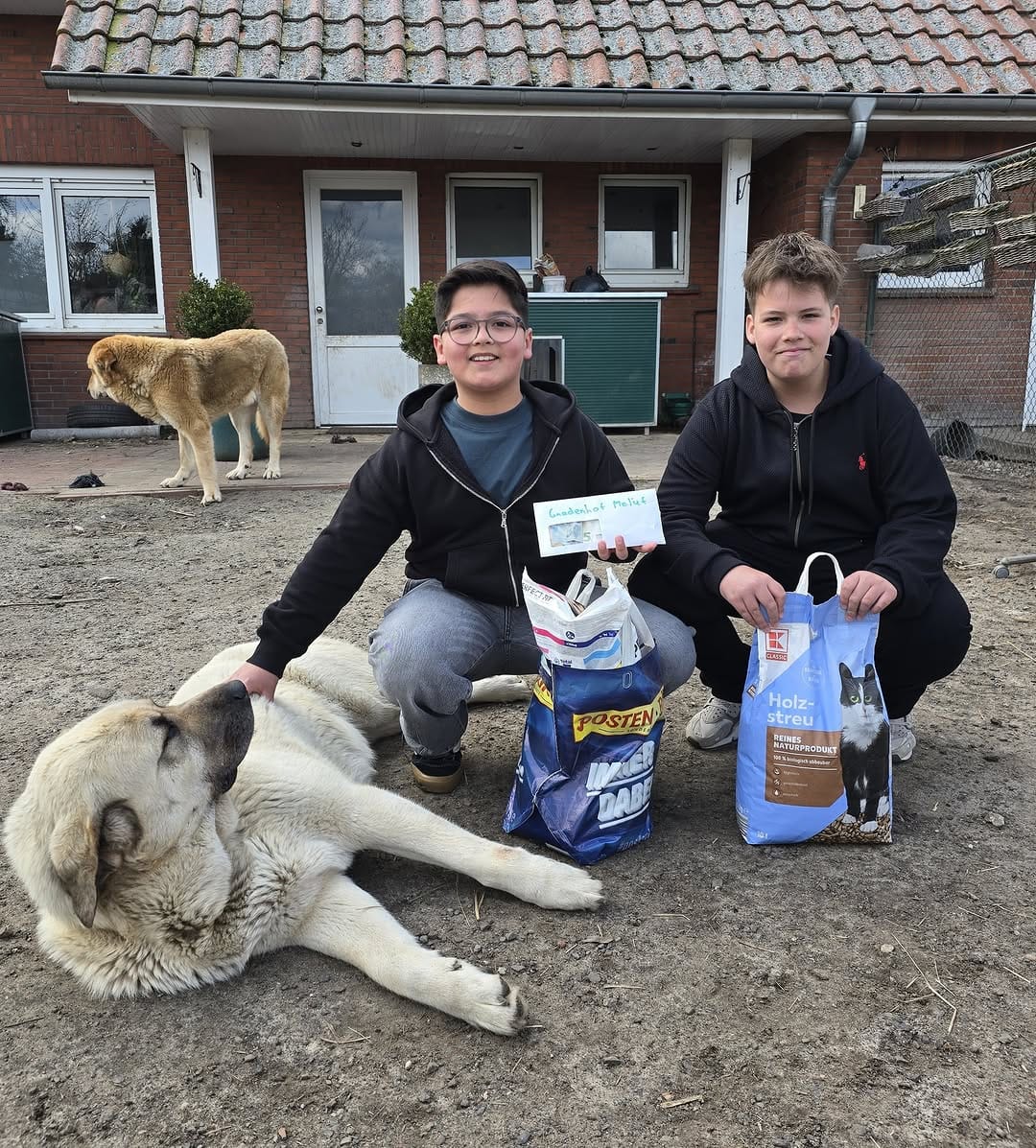 Post 5 by Melief Animal Sanctuary on Instagram (image)