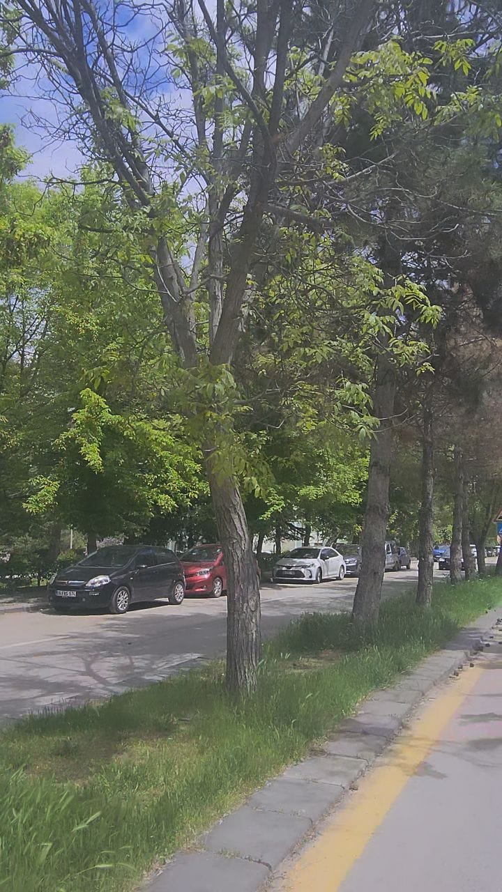 Post 3 by 𝐂̧𝐚𝐲𝐲𝐨𝐥𝐮 𝐆𝐮̈𝐧𝐜𝐞𝐥 on Instagram (video)