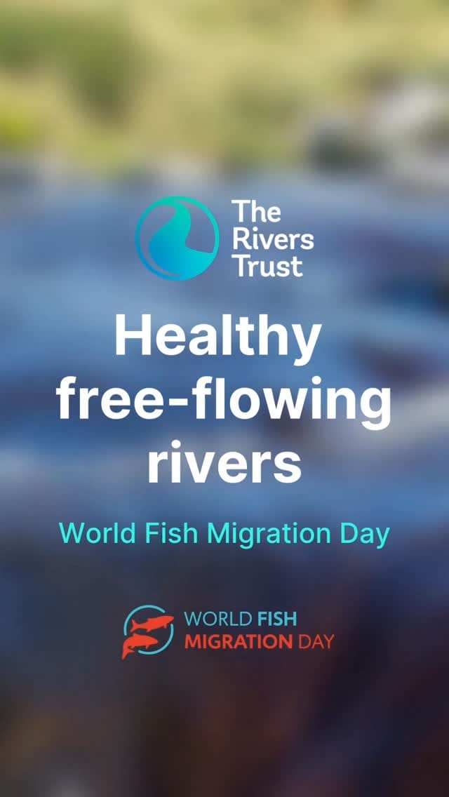 Post 2 by The Rivers Trust on Instagram (video)