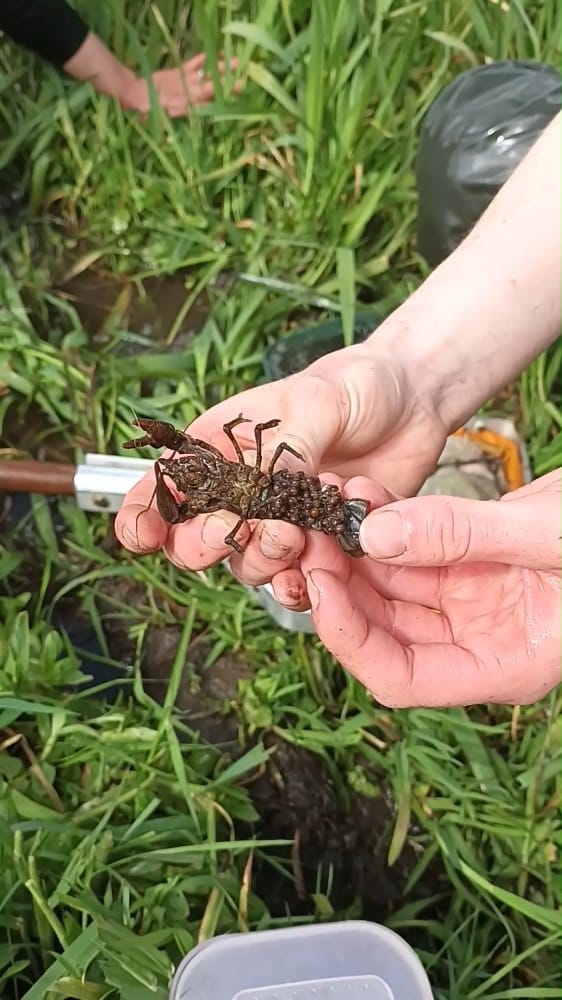 Post 5 by The Rivers Trust on Instagram (video)