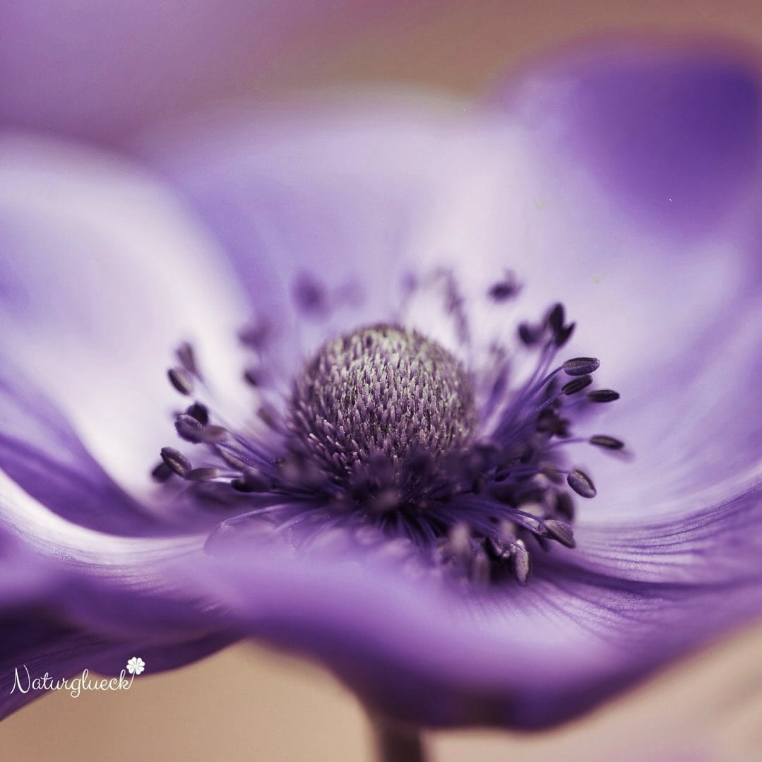 Post 1 by Claudia und Luisa 🌷 on Instagram (image)
