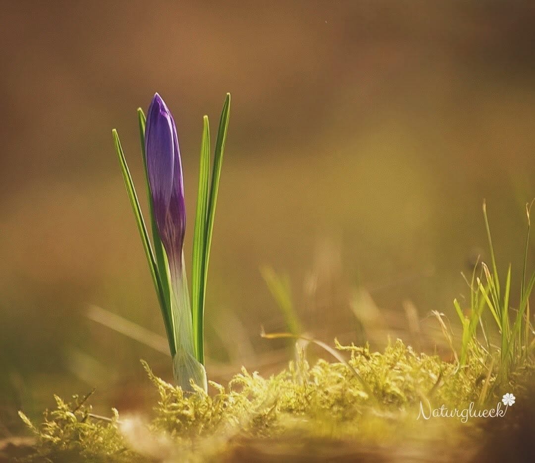 Post 5 by Claudia und Luisa 🌷 on Instagram (image)