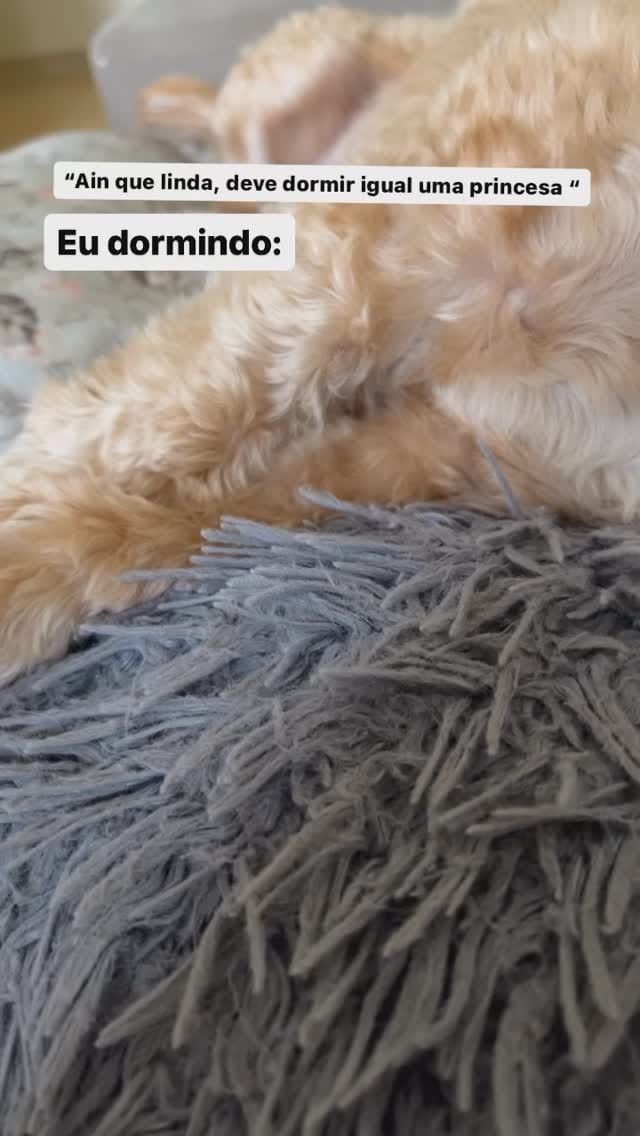 Post 8 by Sou Lala Land on Instagram (video)