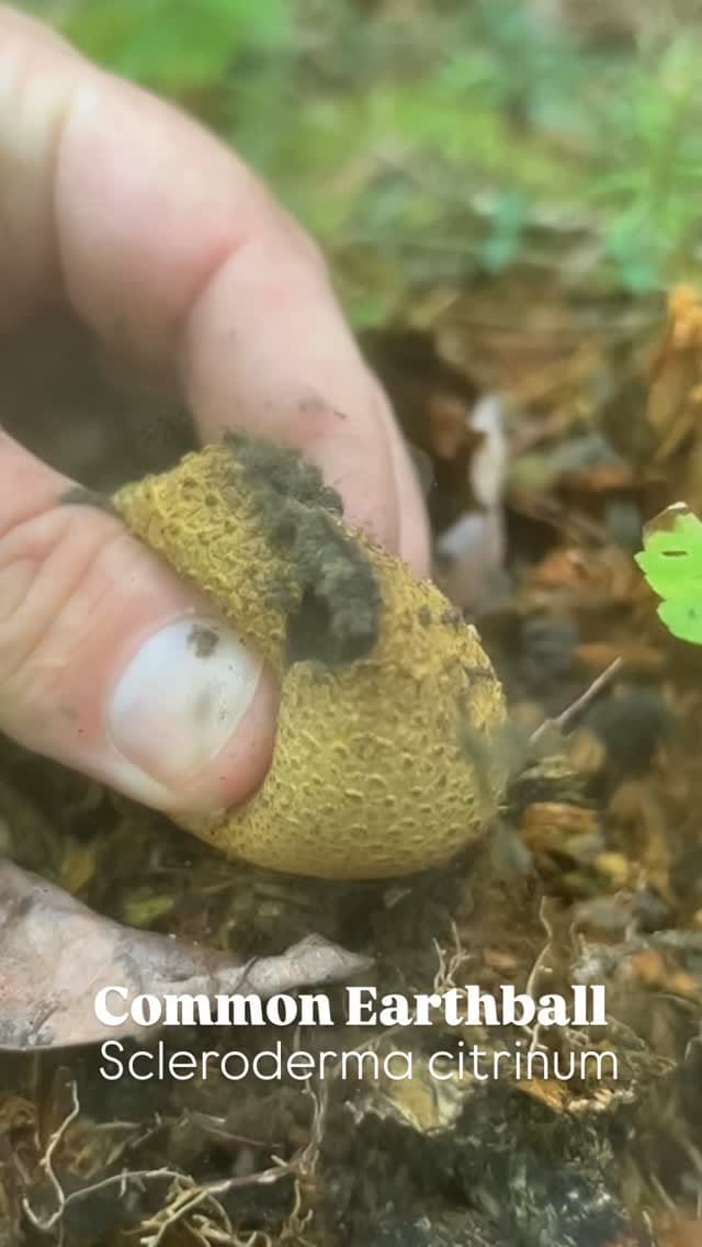 Post 10 by Keith Cowley on Instagram (video)