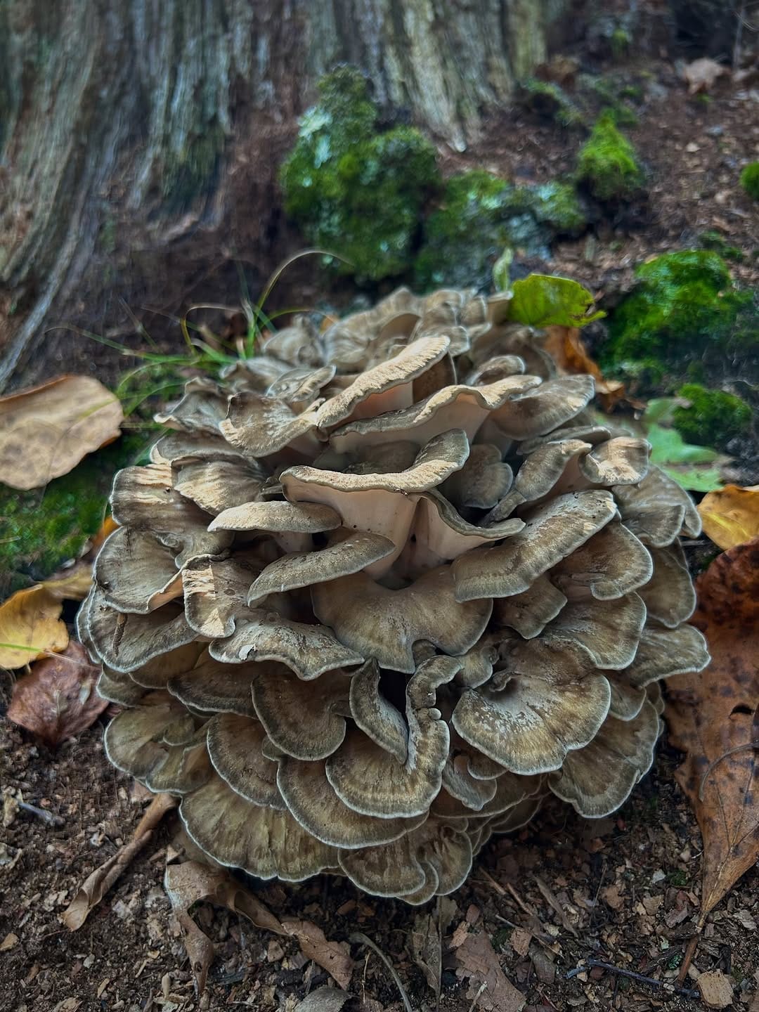 Post 8 by Keith Cowley on Instagram (image)