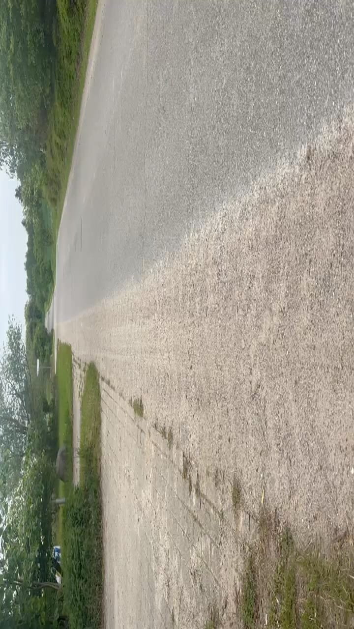 Post 2 by Marcus Stocks on Instagram (video)