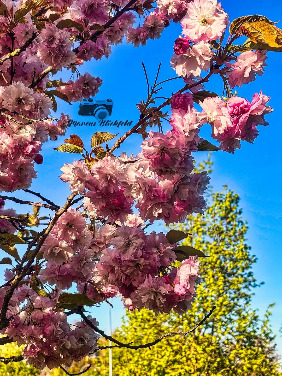 Post 7 by Marcus Stocks on Instagram (carousel)