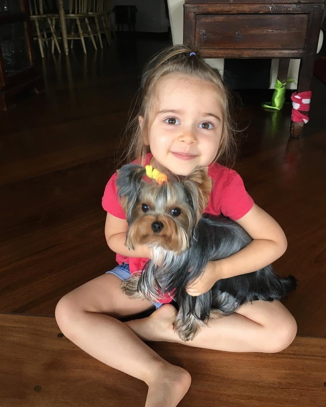 Post 10 by Yorkies Best Community 🐶❤️ on Instagram (image)