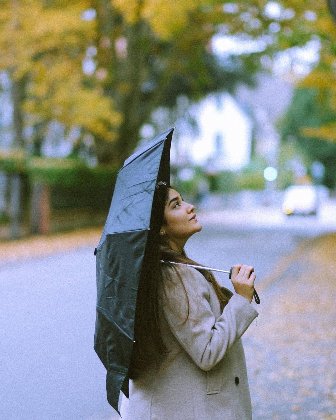 Post 7 by © Hooman Rafiei - هومن رفیعی on Instagram (image)