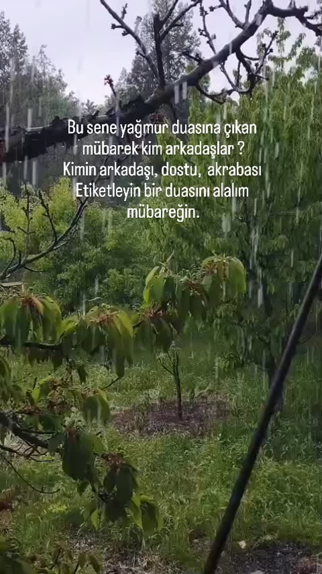 Post 9 by Mersin 33 Akdeniz on Instagram (video)