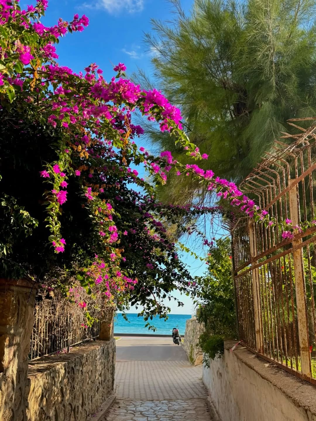 Post 10 by Mersin 33 Akdeniz on Instagram (image)