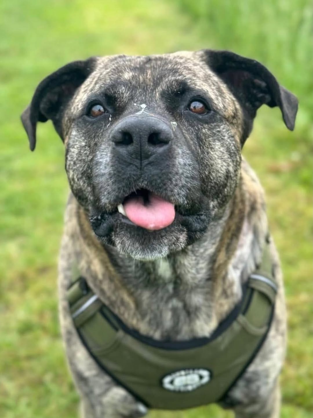 Post 1 by Holly Hedge Animal Sanctuary on Instagram (carousel)