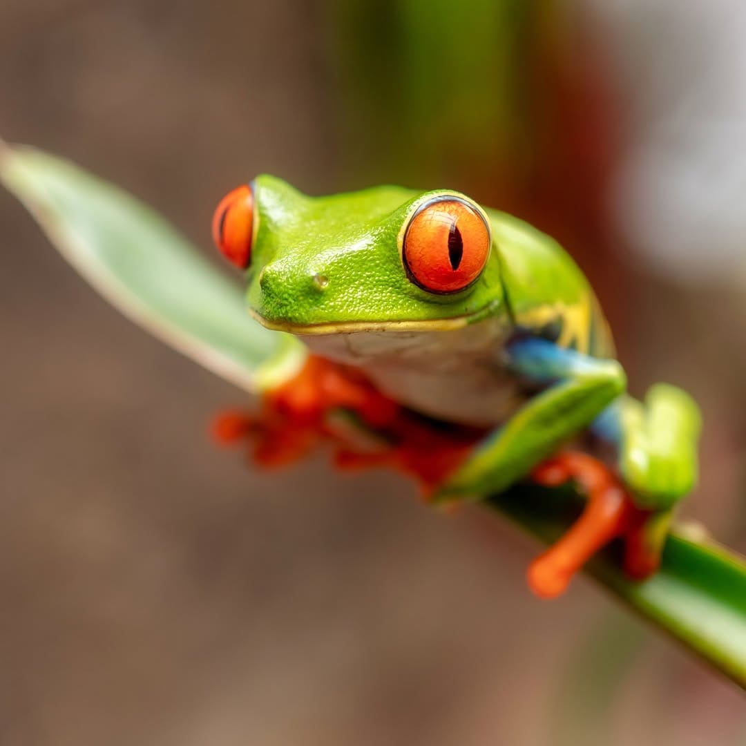 Post 5 by Alessandro Alessio on Safari on Instagram (image)