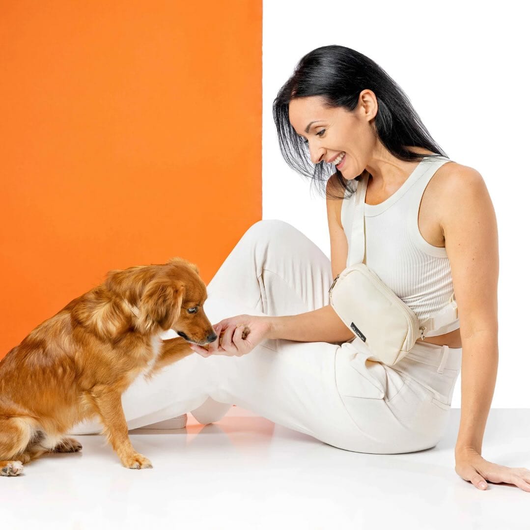 Post 9 by LollyPup | Pet Accessories on Instagram (image)
