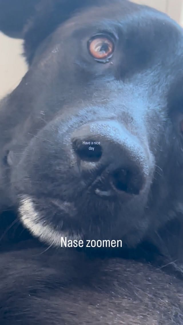 Post 4 by Nina Knopek on Instagram (video)