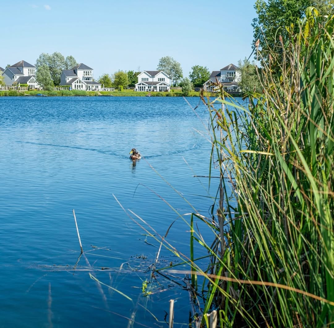 Post 7 by Gone To The Lake on Instagram (image)