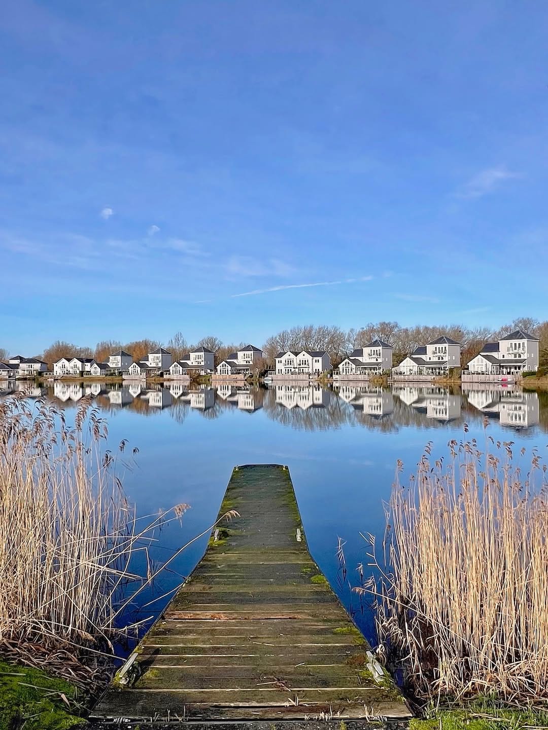 Post 5 by Gone To The Lake on Instagram (image)