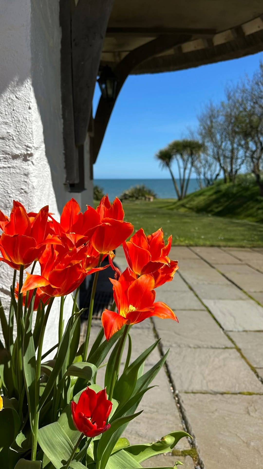 Post 6 by The Cottages Ireland on Instagram (video)